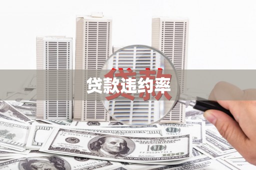 盐埕贷款违约率