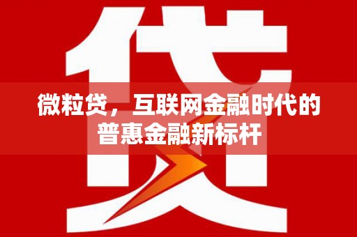 盐埕微粒贷，互联网金融时代的普惠金融新标杆