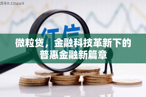 盐埕微粒贷，金融科技革新下的普惠金融新篇章