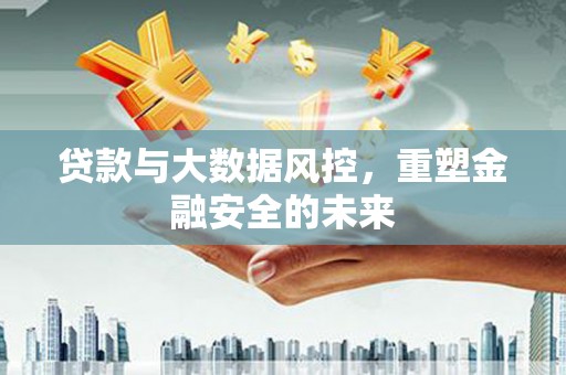 盐埕贷款与大数据风控，重塑金融安全的未来