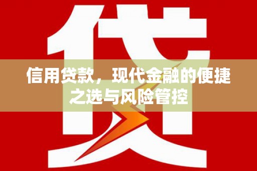 盐埕信用贷款，现代金融的便捷之选与风险管控