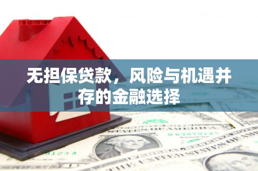 盐埕无担保贷款，风险与机遇并存的金融选择