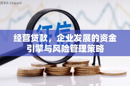 盐埕经营贷款，企业发展的资金引擎与风险管理策略
