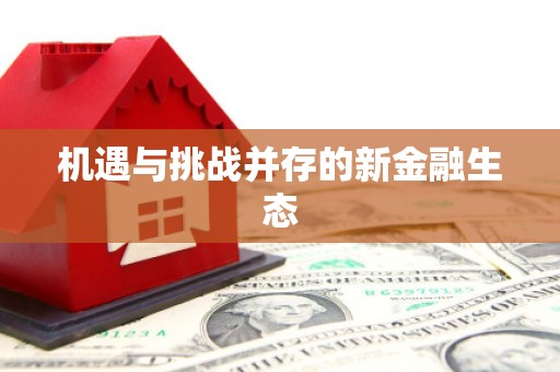盐埕机遇与挑战并存的新金融生态