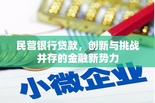 盐埕民营银行贷款，创新与挑战并存的金融新势力