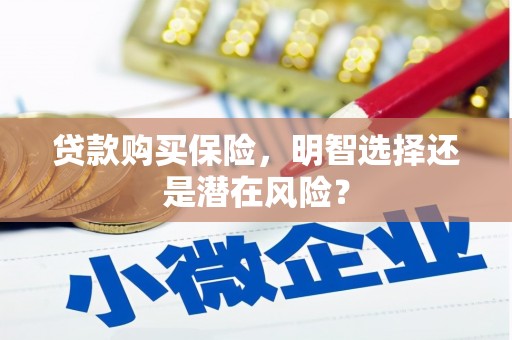 盐埕贷款购买保险，明智选择还是潜在风险？