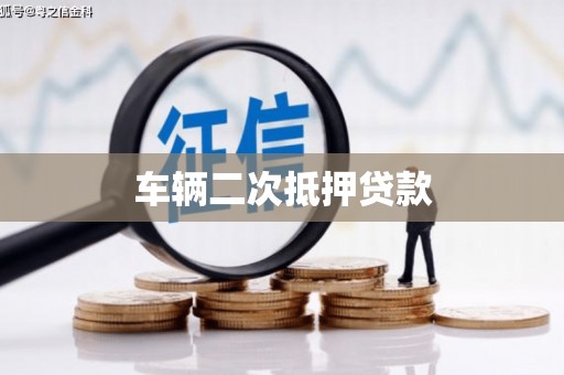 盐埕车辆二次抵押贷款
