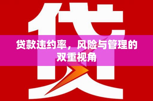 盐埕贷款违约率，风险与管理的双重视角