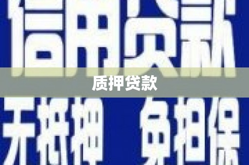 盐埕质押贷款