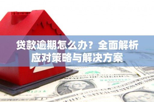 盐埕贷款逾期怎么办？全面解析应对策略与解决方案