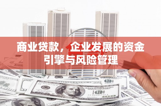 盐埕商业贷款，企业发展的资金引擎与风险管理