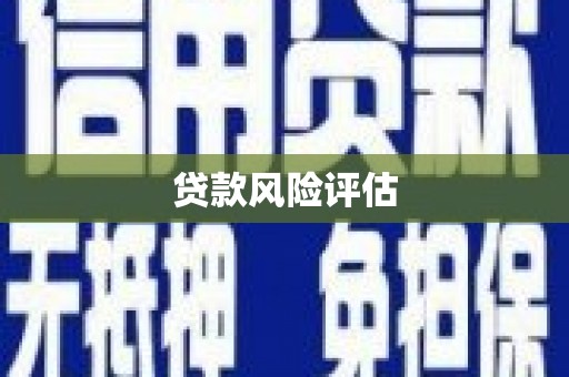 盐埕贷款风险评估