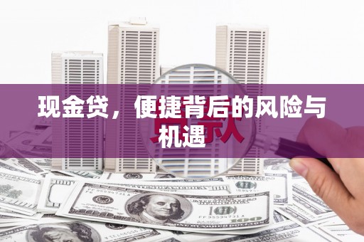 盐埕现金贷，便捷背后的风险与机遇