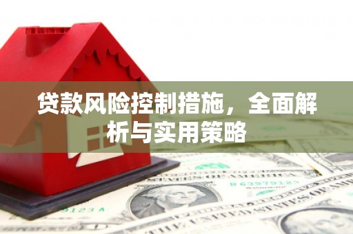 盐埕贷款风险控制措施，全面解析与实用策略