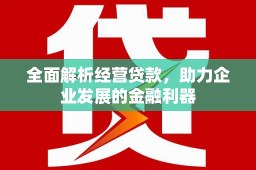 盐埕全面解析经营贷款，助力企业发展的金融利器