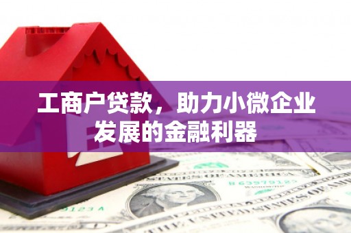 盐埕工商户贷款，助力小微企业发展的金融利器
