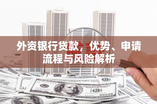盐埕外资银行贷款，优势、申请流程与风险解析