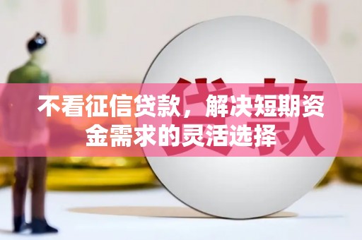 盐埕不看征信贷款，解决短期资金需求的灵活选择