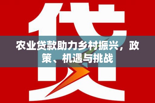 盐埕农业贷款助力乡村振兴，政策、机遇与挑战