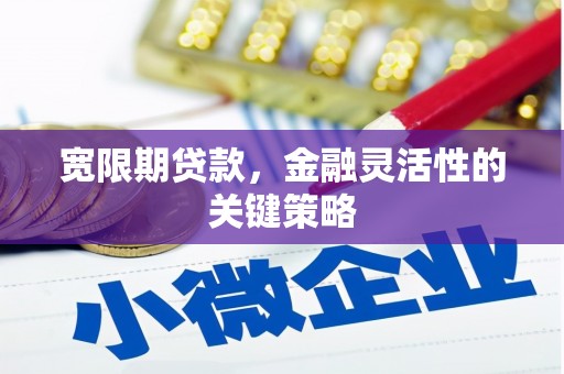 盐埕宽限期贷款，金融灵活性的关键策略