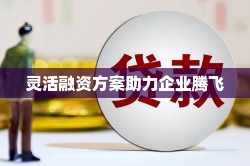 盐埕灵活融资方案助力企业腾飞