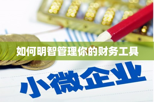盐埕如何明智管理你的财务工具