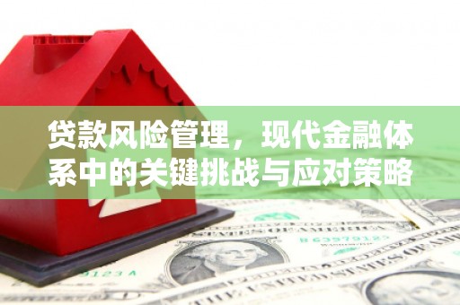 盐埕贷款风险管理，现代金融体系中的关键挑战与应对策略