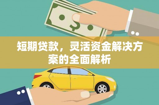 盐埕短期贷款，灵活资金解决方案的全面解析