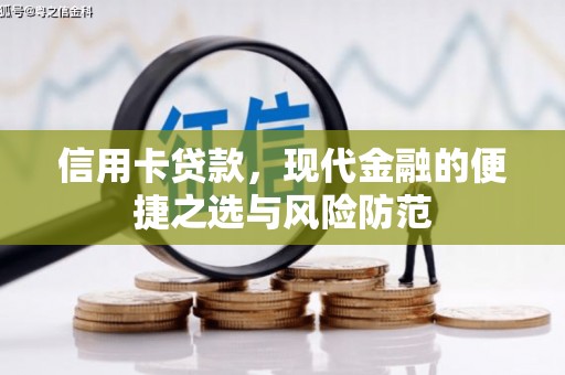 盐埕信用卡贷款，现代金融的便捷之选与风险防范