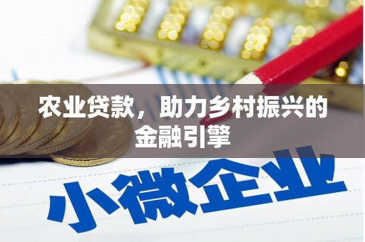 盐埕农业贷款，助力乡村振兴的金融引擎