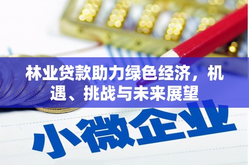 盐埕林业贷款助力绿色经济，机遇、挑战与未来展望