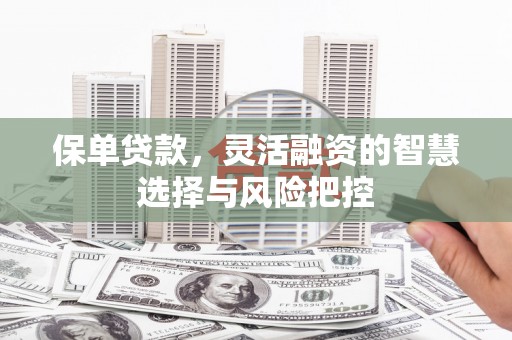 盐埕保单贷款，灵活融资的智慧选择与风险把控