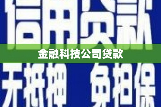 盐埕金融科技公司贷款