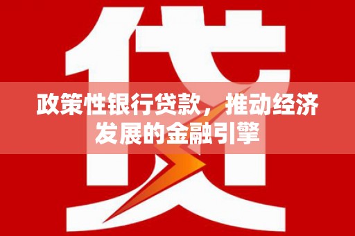 盐埕政策性银行贷款，推动经济发展的金融引擎