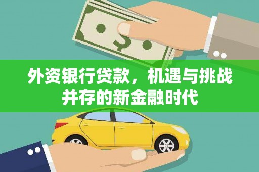 盐埕外资银行贷款，机遇与挑战并存的新金融时代