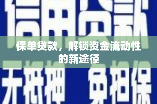 盐埕保单贷款，解锁资金流动性的新途径