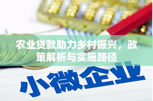 盐埕农业贷款助力乡村振兴，政策解析与实施路径