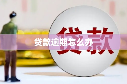 盐埕贷款逾期怎么办