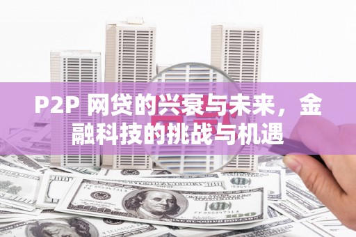 盐埕P2P 网贷的兴衰与未来，金融科技的挑战与机遇