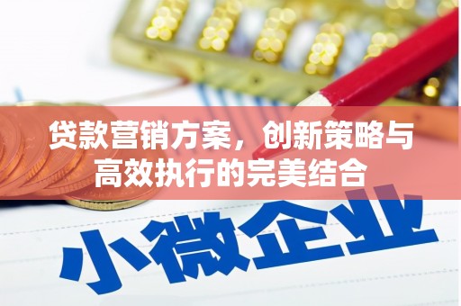 盐埕贷款营销方案，创新策略与高效执行的完美结合