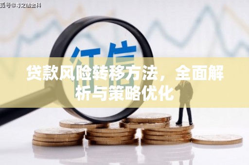 盐埕贷款风险转移方法，全面解析与策略优化