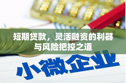 盐埕短期贷款，灵活融资的利器与风险把控之道