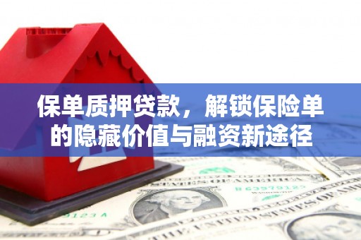 盐埕保单质押贷款，解锁保险单的隐藏价值与融资新途径