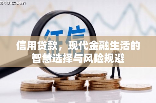 盐埕信用贷款，现代金融生活的智慧选择与风险规避