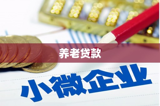 盐埕养老贷款