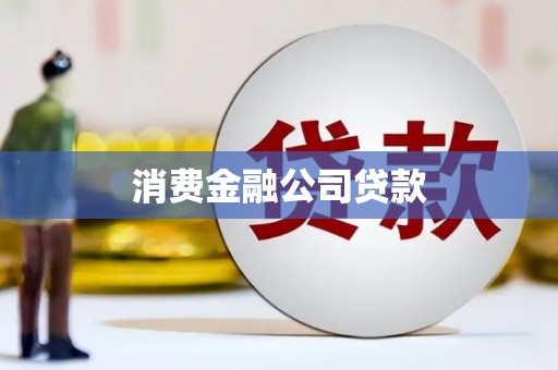 盐埕消费金融公司贷款