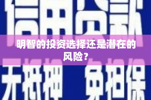 盐埕明智的投资选择还是潜在的风险？