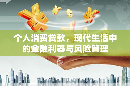 盐埕个人消费贷款，现代生活中的金融利器与风险管理