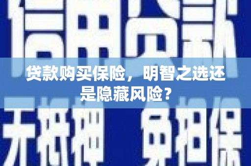 盐埕贷款购买保险，明智之选还是隐藏风险？