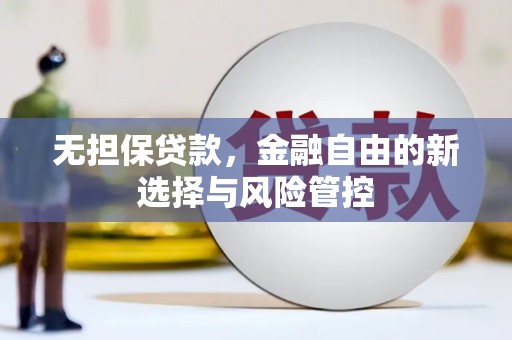 盐埕无担保贷款，金融自由的新选择与风险管控